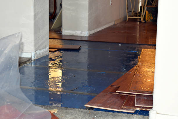 Professional Water Damage Restoration technician working in Frederic, MI